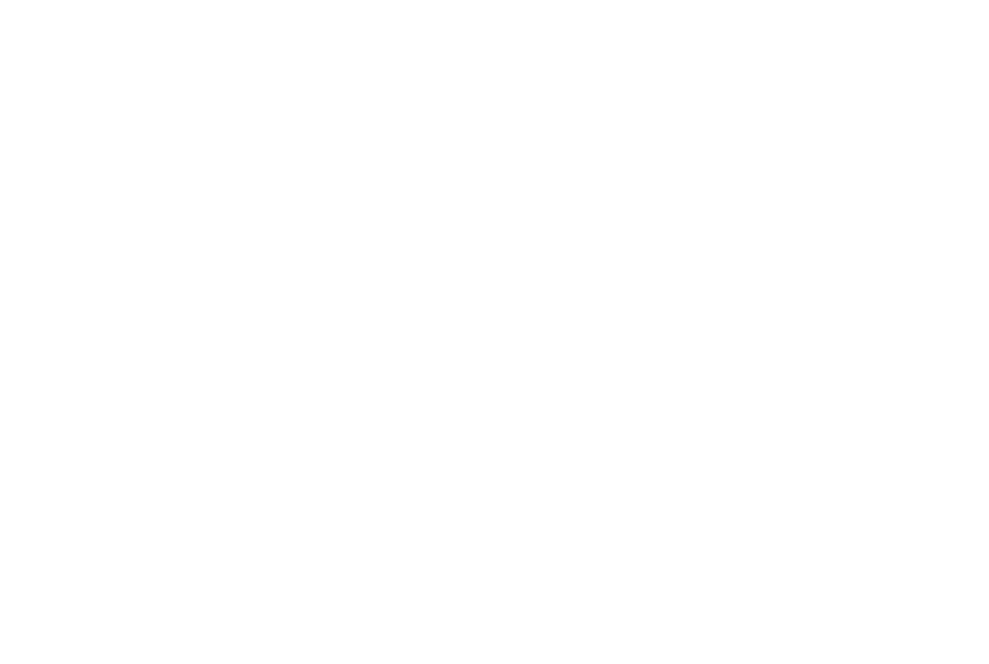 TechNishe